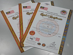 Malaysia Taekwondo MFA Certificate